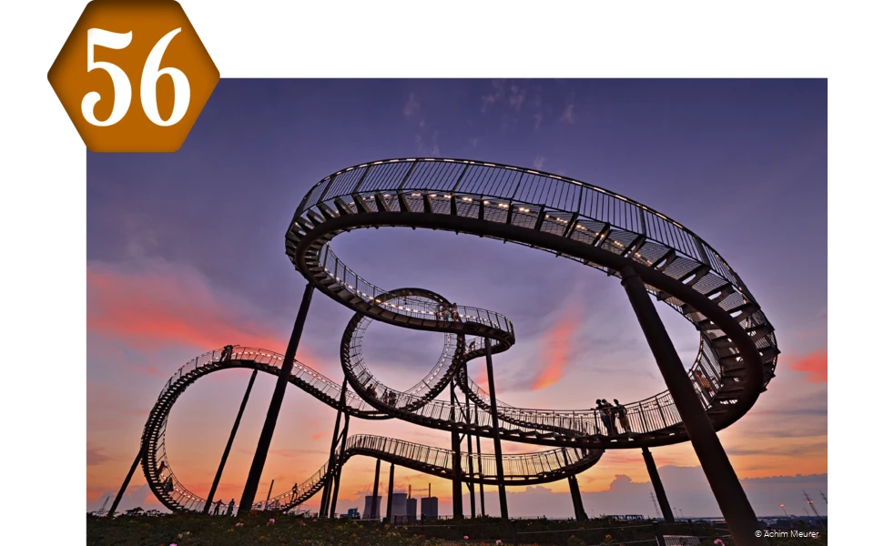 56_Tiger_and_Turtle.png