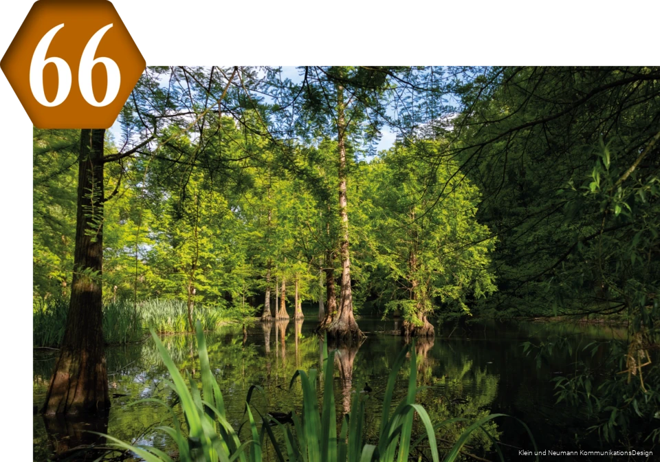 66_Rombergpark.png 66_Rombergpark.png