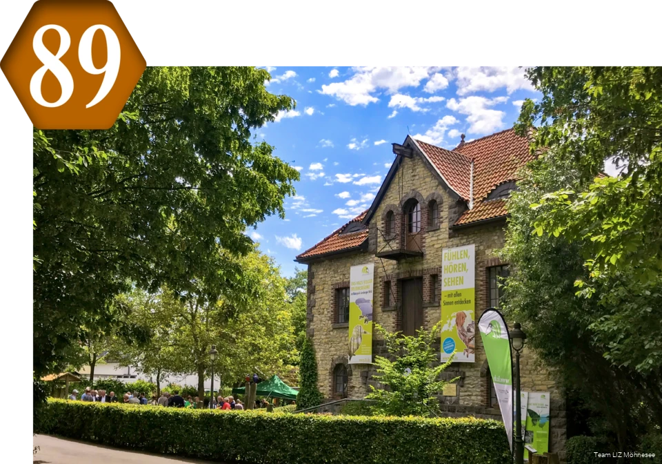 89_Liz_Moehnesee.png 89_Liz_Moehnesee.png