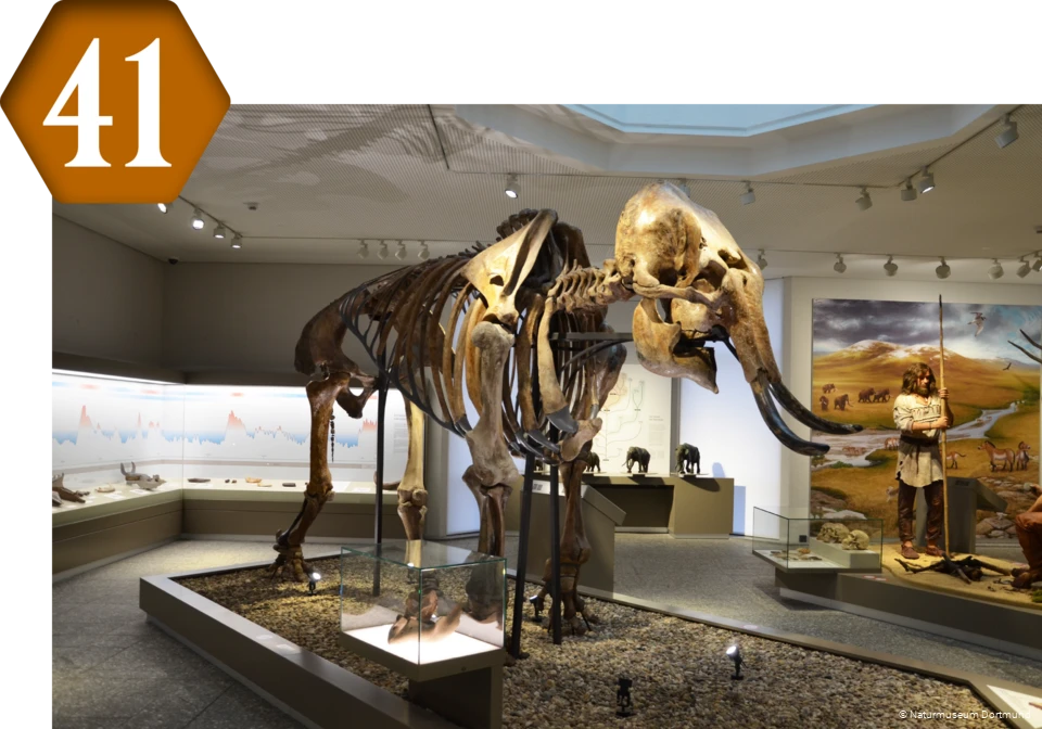 41_Naturmuseum_Dortmund.png 41_Naturmuseum_Dortmund.png